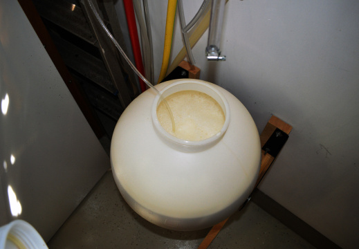 DSC 4890